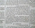 Image037_tn