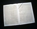 Image019_tn