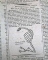 Image016_tn