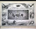 Image019_tn