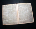 Image010_tn