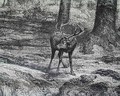 Image097_tn