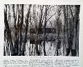 Image005_tn