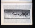 Image008_tn