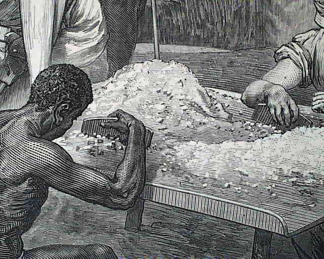 The Dutch Arrival in South Africa at emaze Presentation