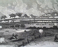 Image039_tn