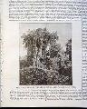 Image100_tn